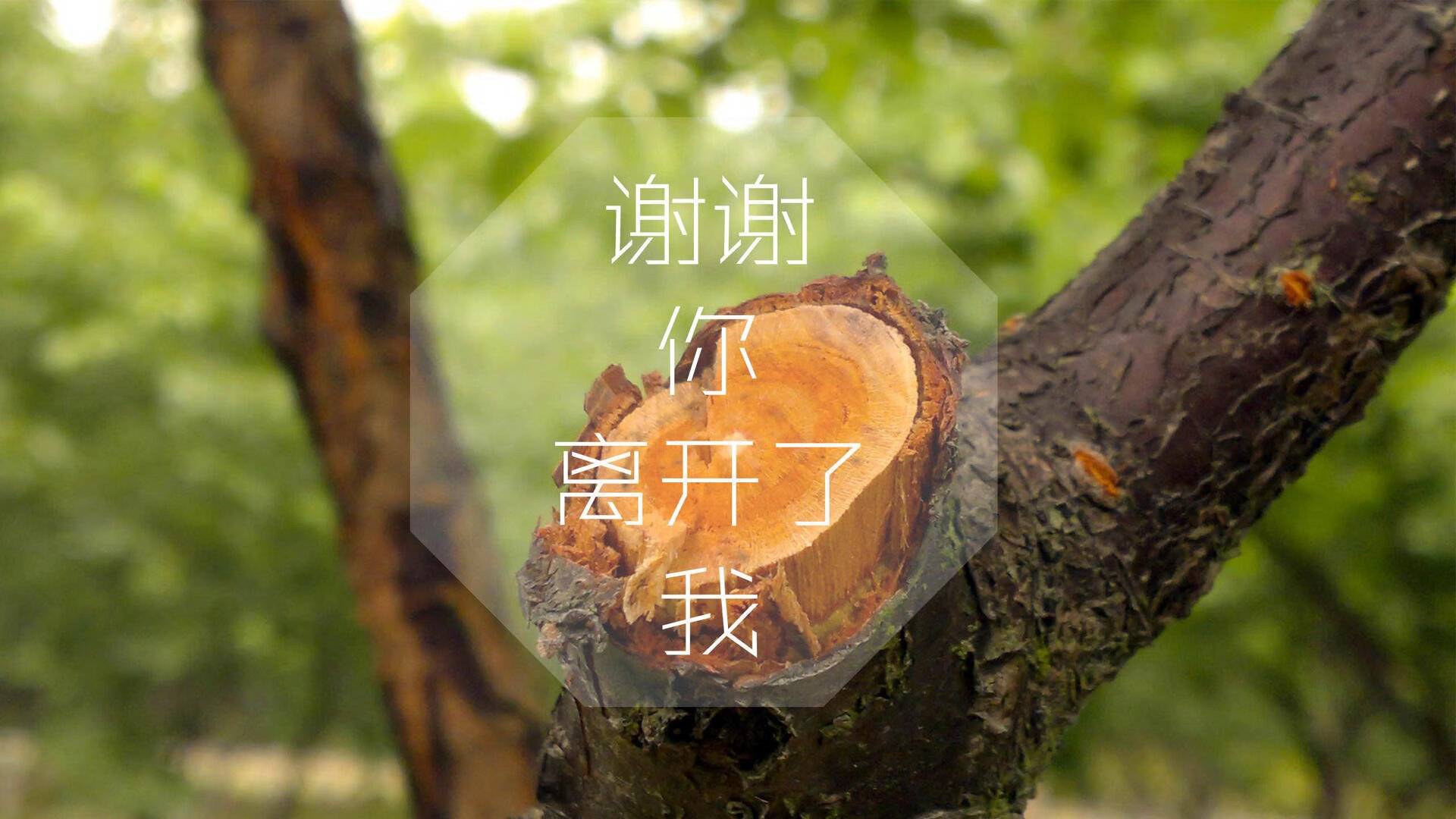 德赢官网登录入口官网-电子竞技世界冠军争霸，虚拟世界的真实较量，电 子 竞 技