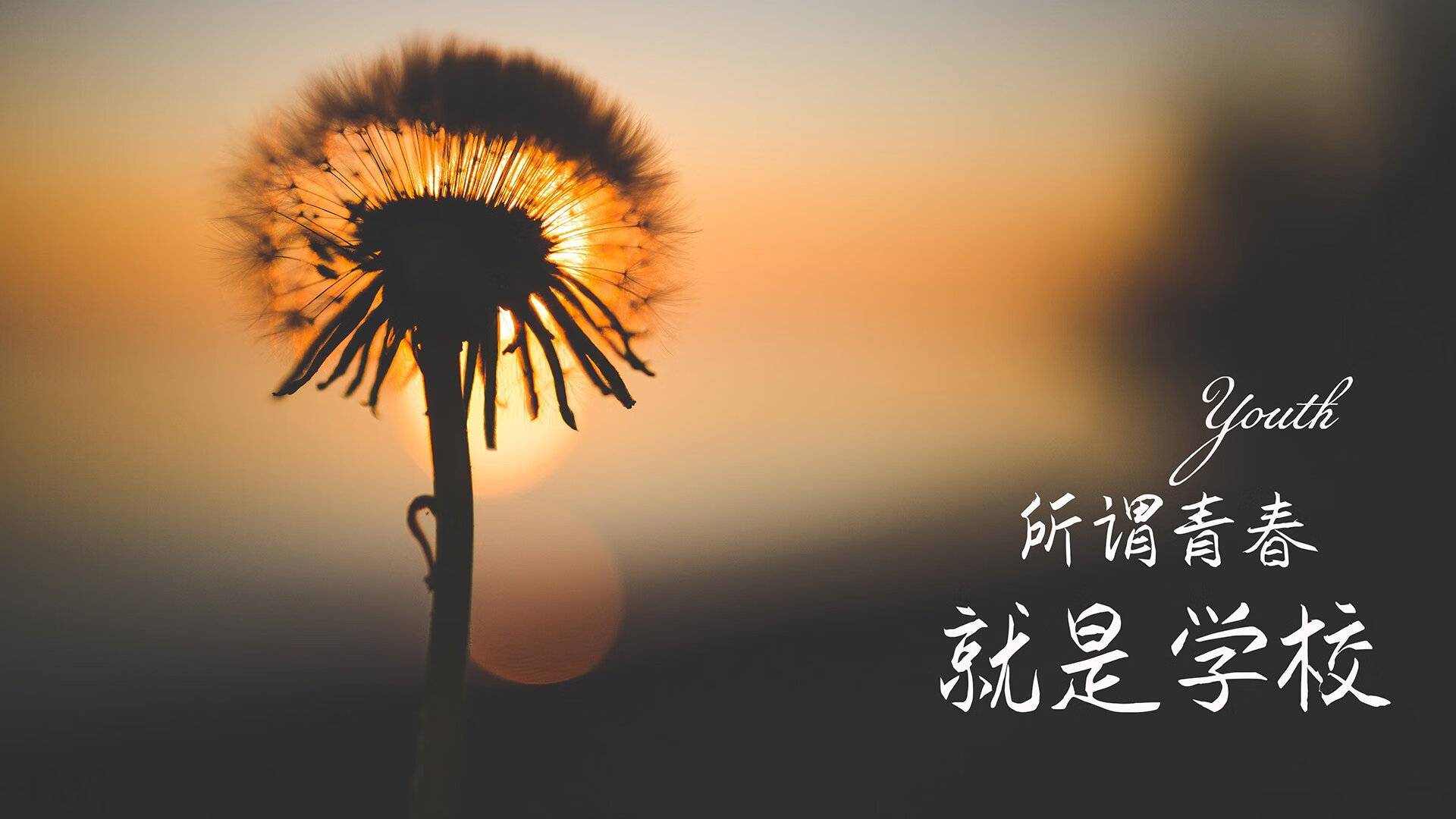 德赢app下载-湖人中锋恢复状态出战 精彩表现令人期待，湖人中锋正式离队